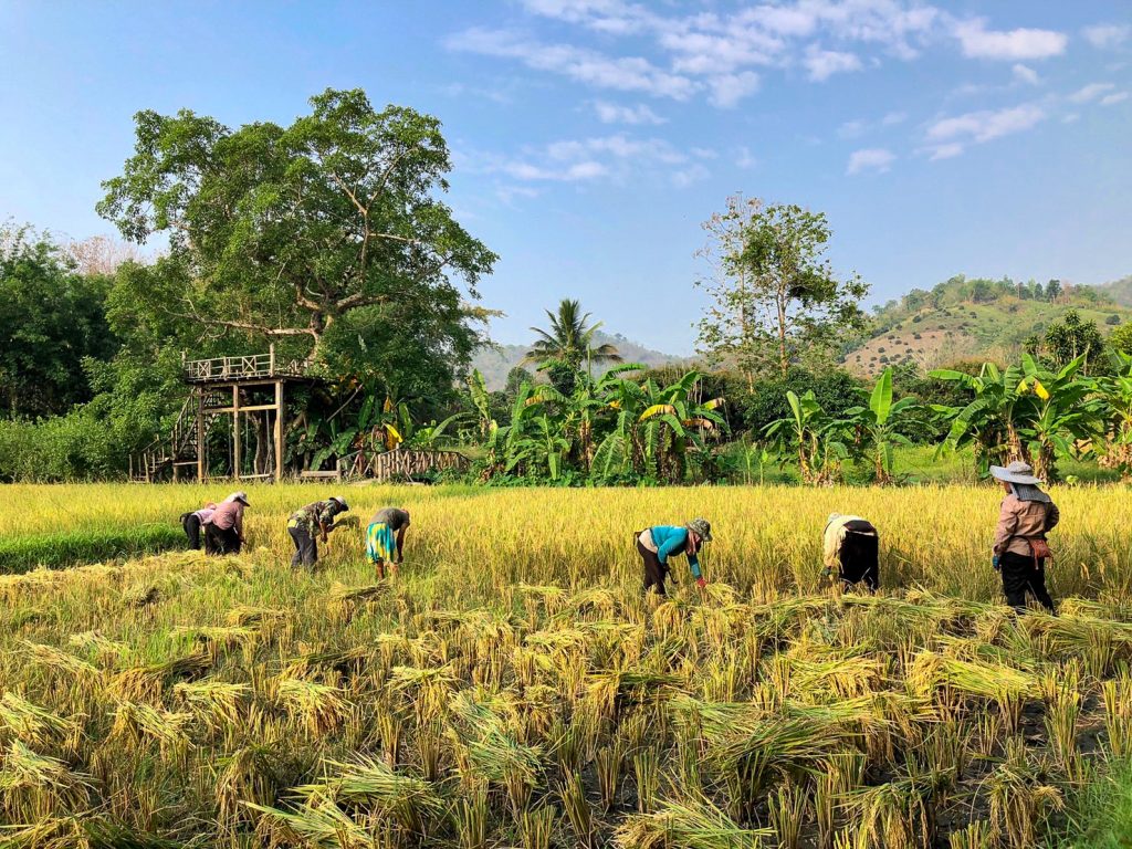 Chiang Mai, vacanze ecosostenibili a contatto con le tribù : Viaggio in Thailandia sole Donne: Finalmente si Riparte Tour