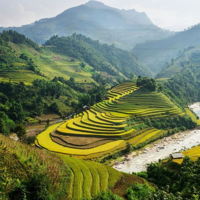 Vietnam: terrazze di riso a Mu Cang Chai.
