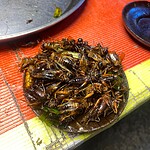 Grilli fritti al mercato