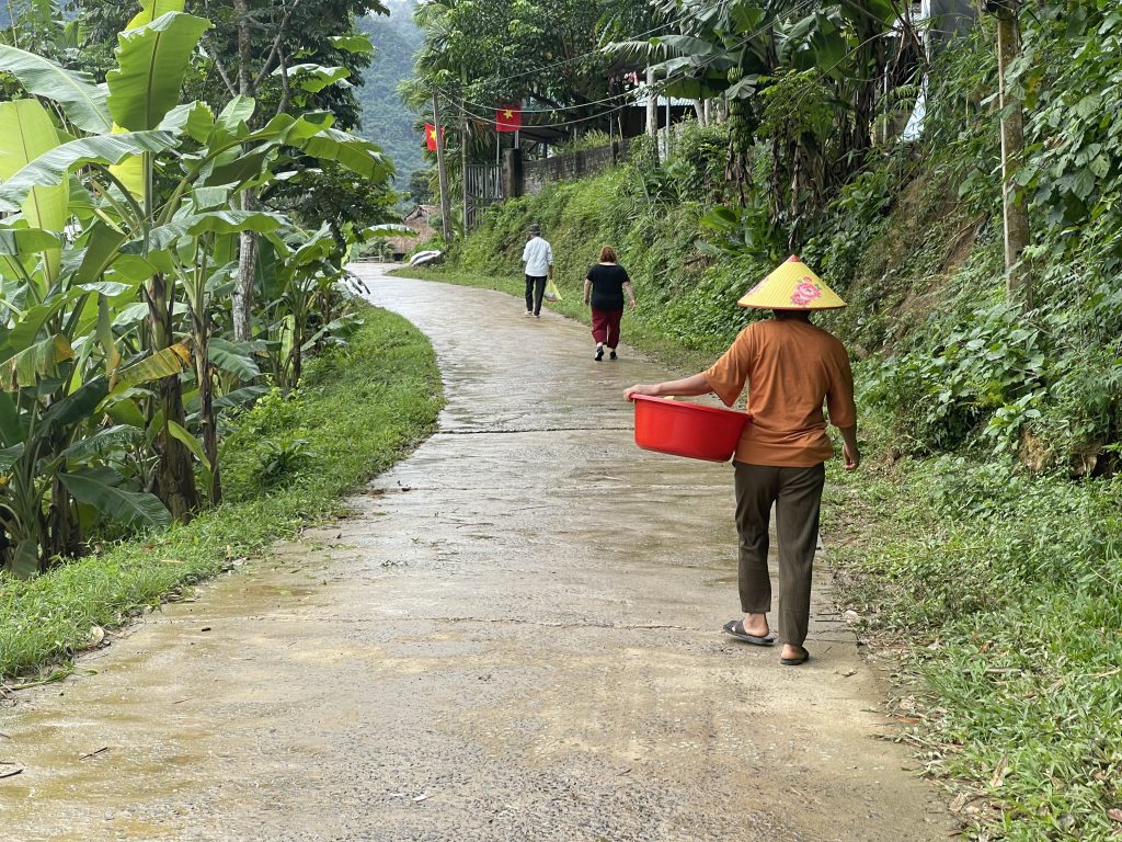 Viaggio in Vietnam: donna con cappello conico e cesto rosso su strada verdeggiante.